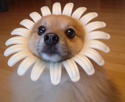 Юлия Омельяненко