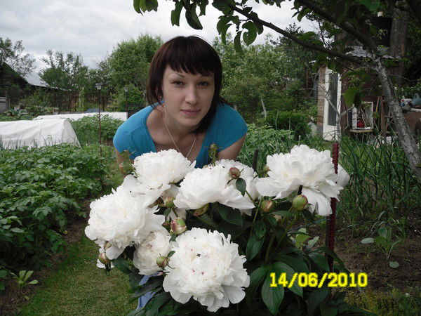 Герасимова Светлана