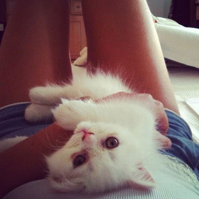 Алина Сейдаметова