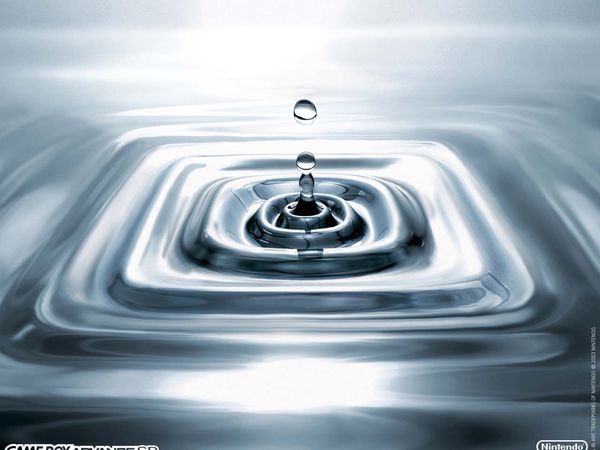 Евгений Антонов