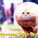 Александр Петров
