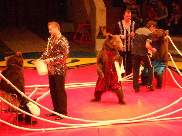 Андрей Гриднев