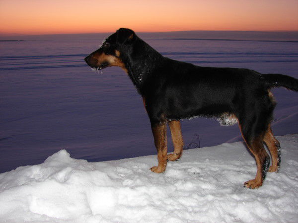 Федорова Ирина