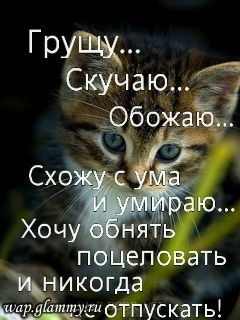 Дима Чистяков