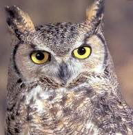 Илья Савченко