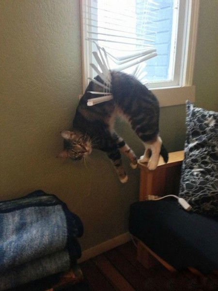 Карина Мельлникова