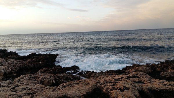 Алексей Чеснов