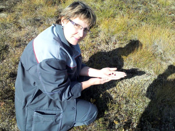 Елена Шебалкова