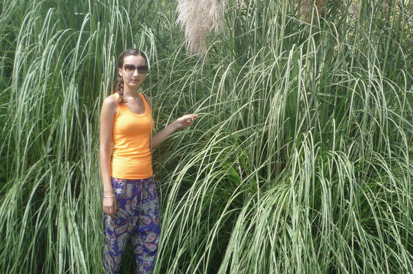 Татьяна Новоселова