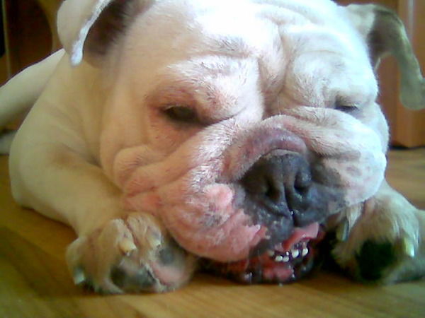 Наталья Суханова