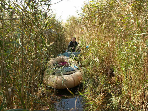 Андрей Компанийцев
