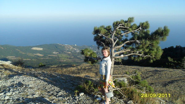 Евгения Мехоношина