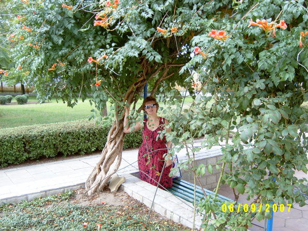 Людмила Благонадеждина