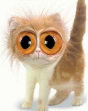 Илья Арепьев