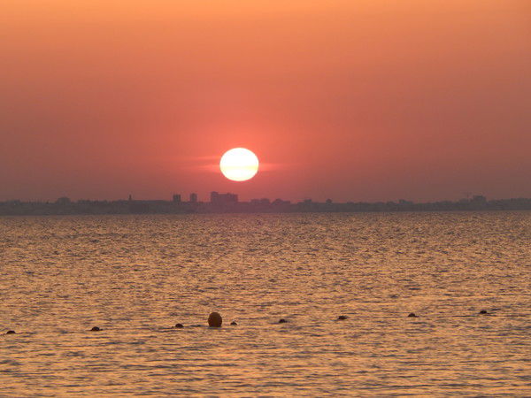 Владимир Жуков