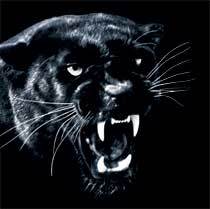 † Фартовый †