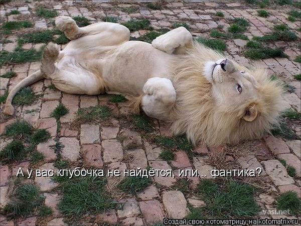 Шамиль Тависов