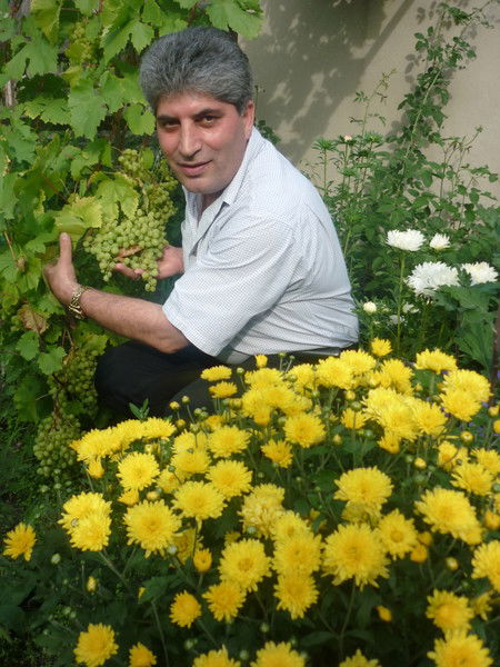 Камал Наджафов