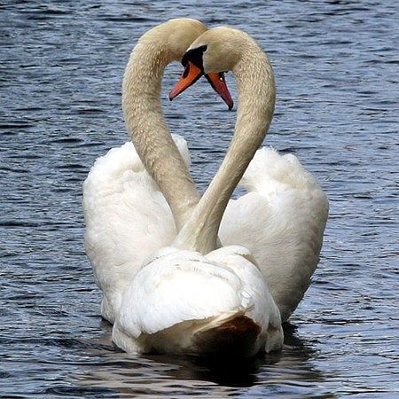 Marina Евсеенко