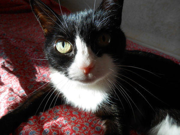 Марина Булатова