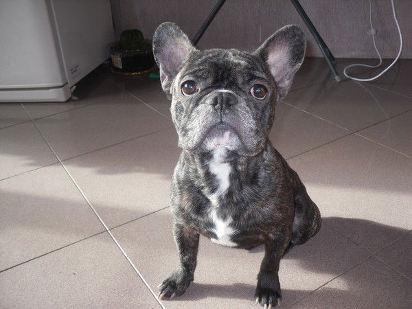 Руслан Зуйков