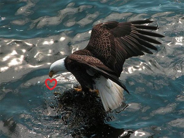 Марта Баридзе