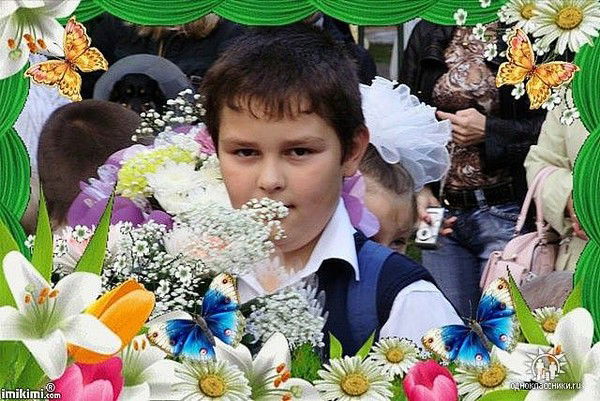 Толя Кисель