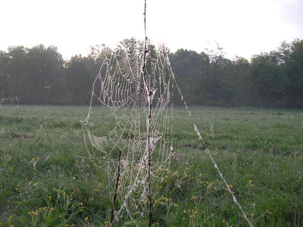 Игорь Борисов