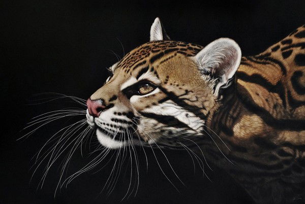 Ягода Малина