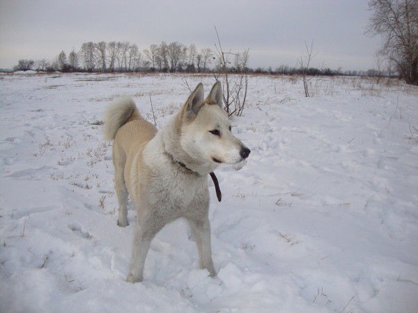 Виталий Обухов