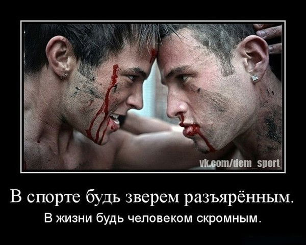 Сергей Полостин