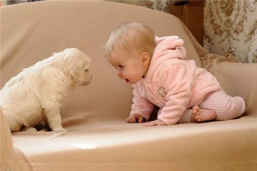 Досымжан Байболаев