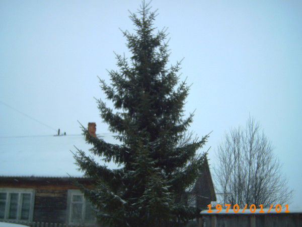 Виктор Савельев