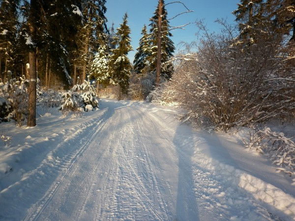 Наталья Рыженкова