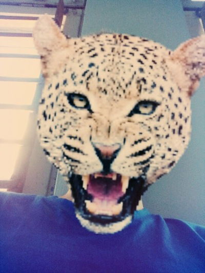 Кирилл Рудь