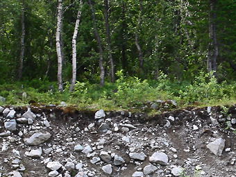 Нина Китаева