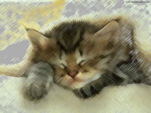 Марина Кунгурова