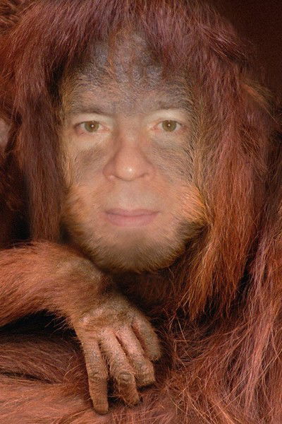 Евгений Лысковец