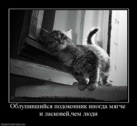 души прекрасные порывы так вот души это глагол. Смотреть фото души прекрасные порывы так вот души это глагол. Смотреть картинку души прекрасные порывы так вот души это глагол. Картинка про души прекрасные порывы так вот души это глагол. Фото души прекрасные порывы так вот души это глагол