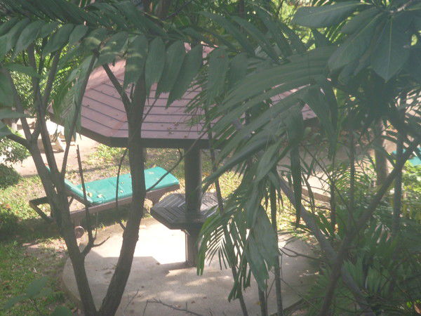 Анджела Рискаленко