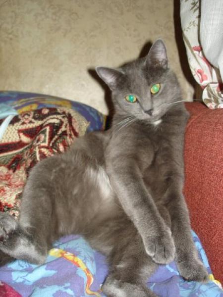 Юра Хоменко