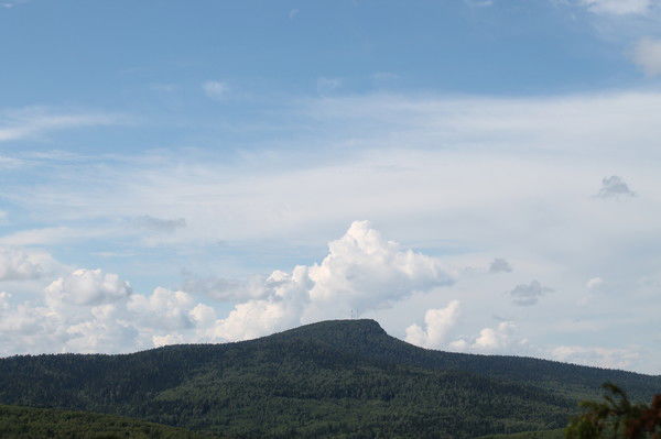 Светлана Южакова