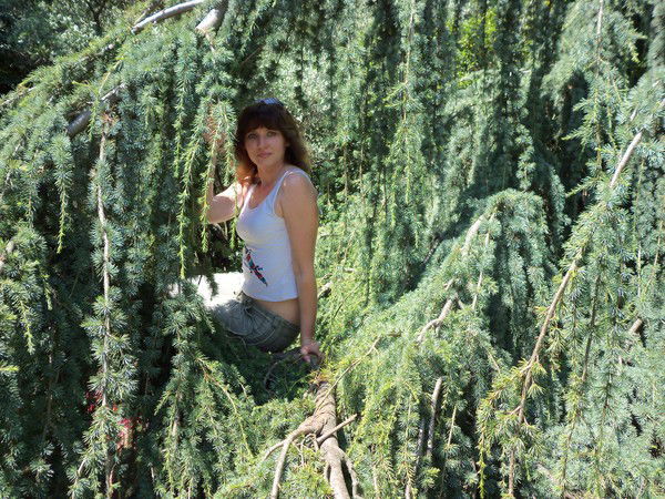 Наталья Виндилович