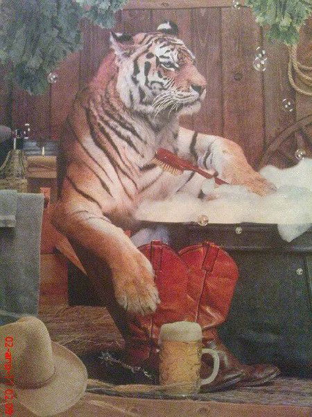 Александр Петрович