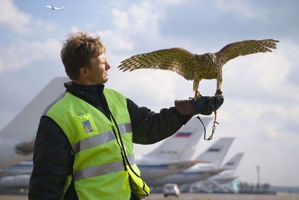 Дмитрий Аксенов