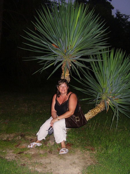 Татьяна Свешникова