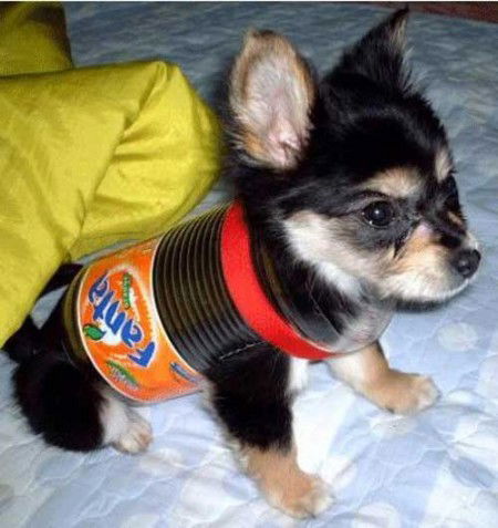 Анна Кирюхина