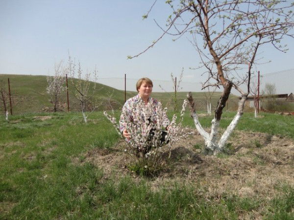 Светлана Федотова