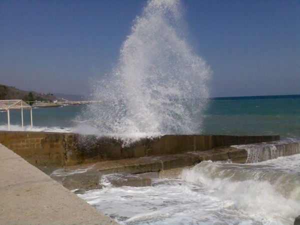 Николай Петров