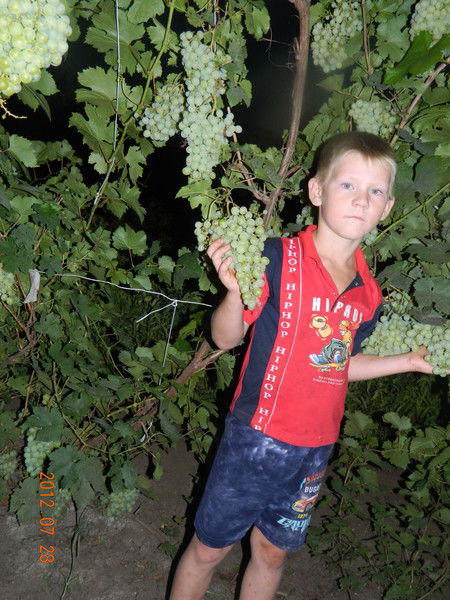 Антон Терентьев